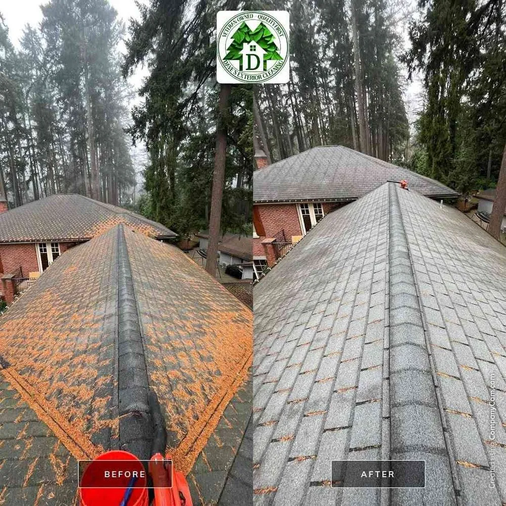 Slide of Dave's Exterior Cleaning