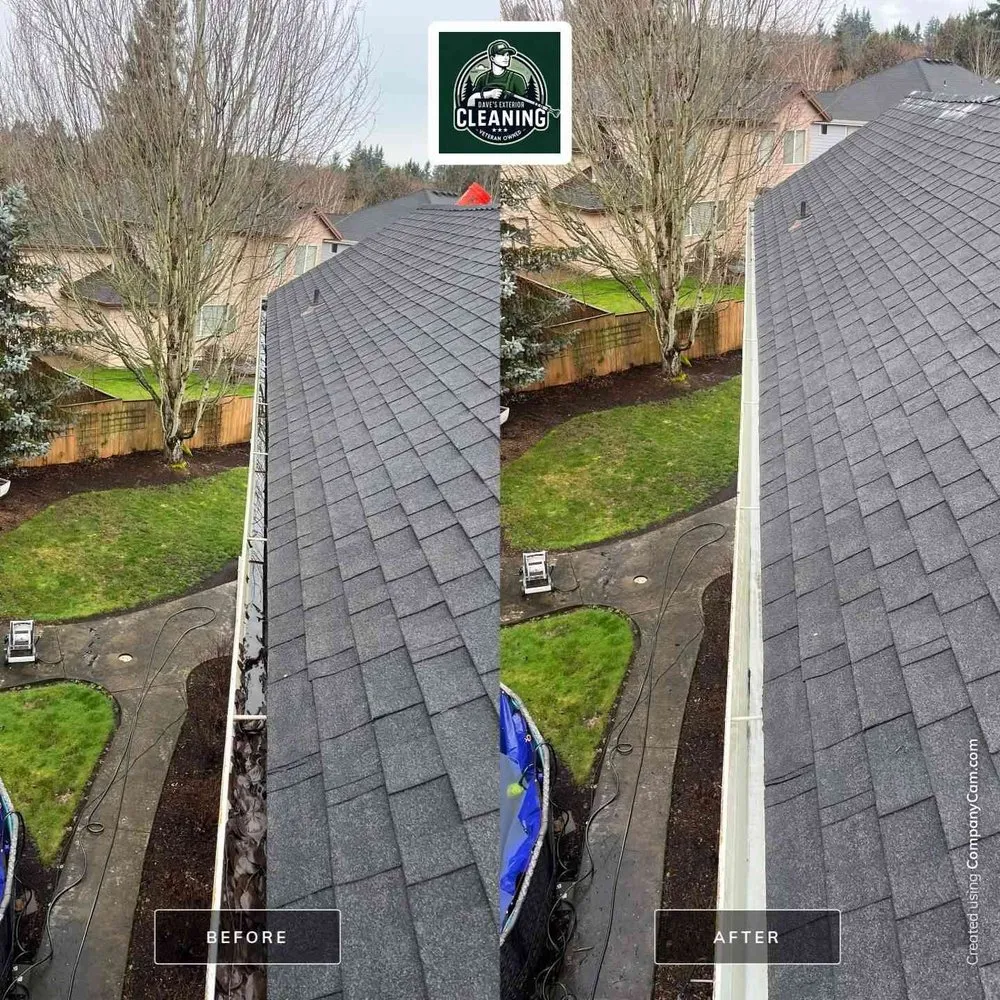 Slide of Dave's Exterior Cleaning