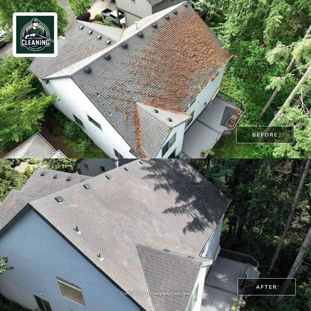 Slide of Dave's Exterior Cleaning