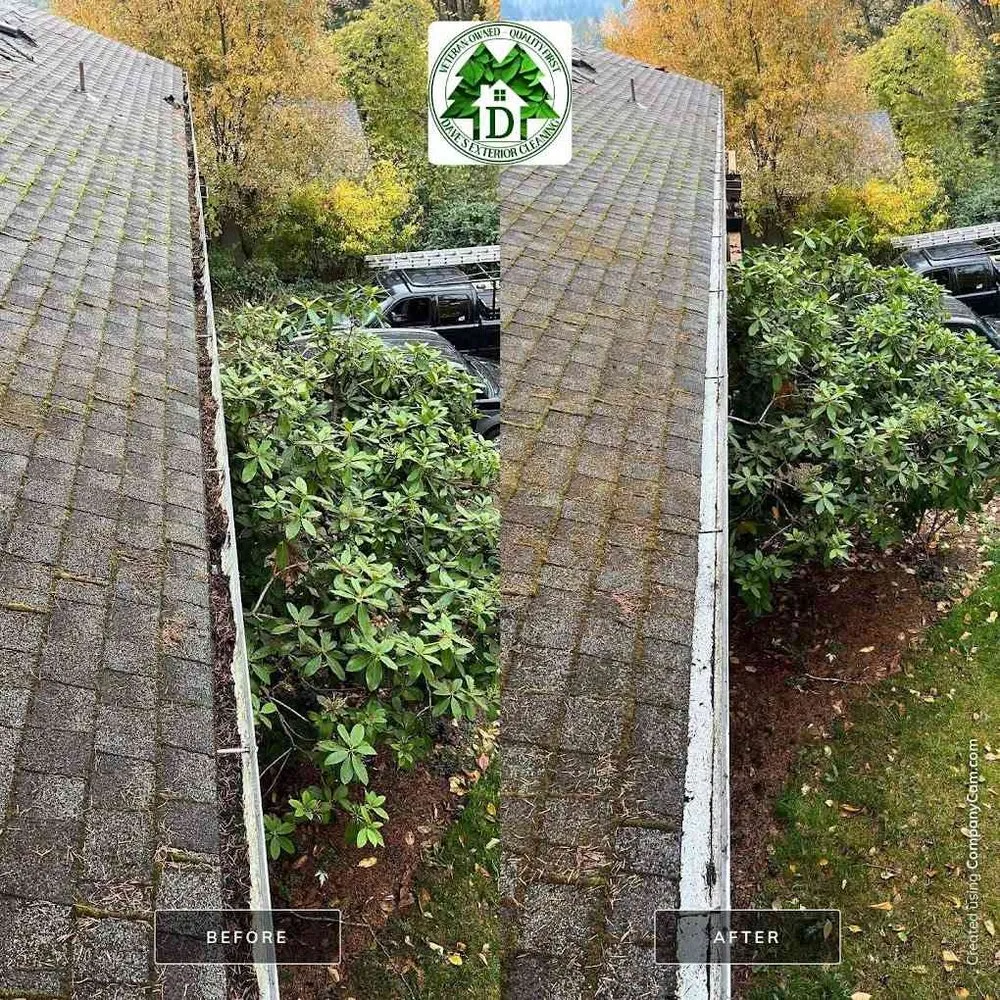 Slide of Dave's Exterior Cleaning