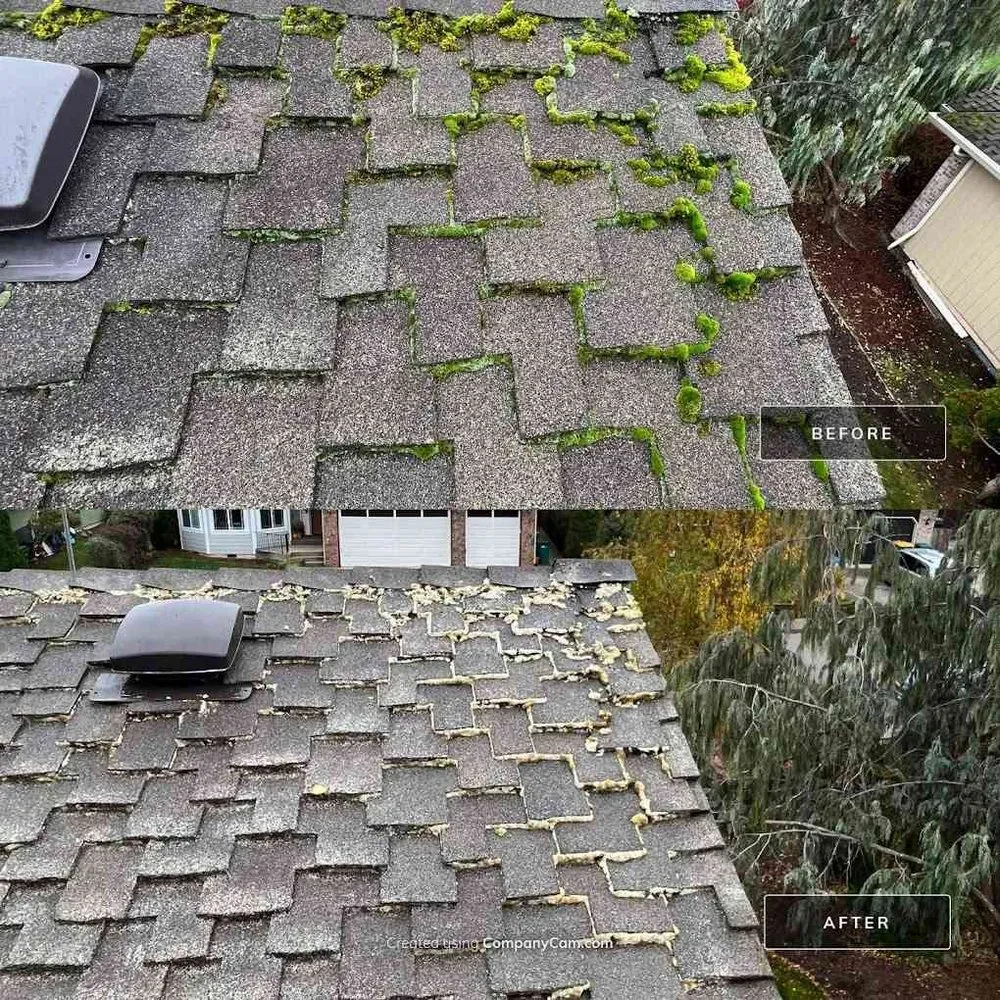 Slide of Dave's Exterior Cleaning