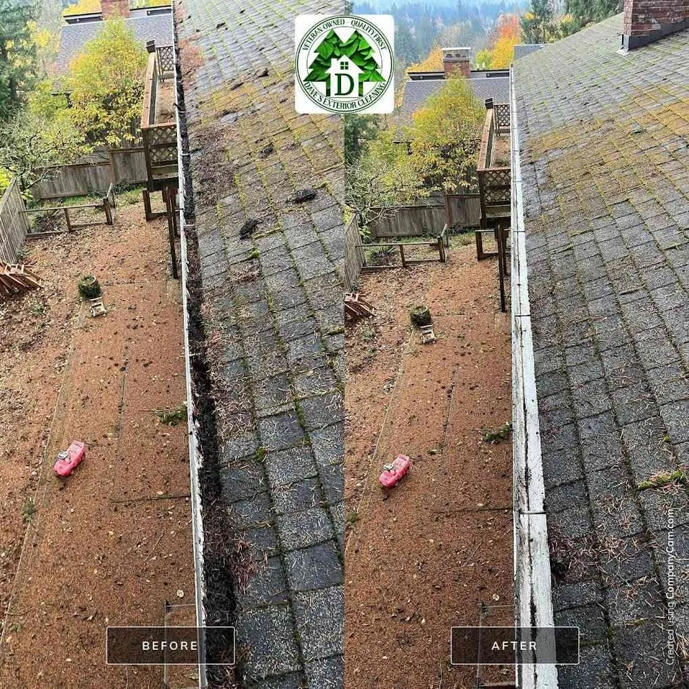 Slide of Dave's Exterior Cleaning