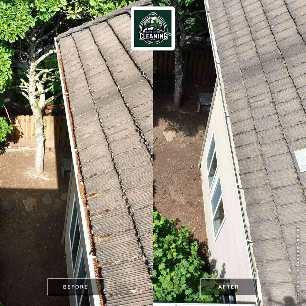 Slide of Dave's Exterior Cleaning