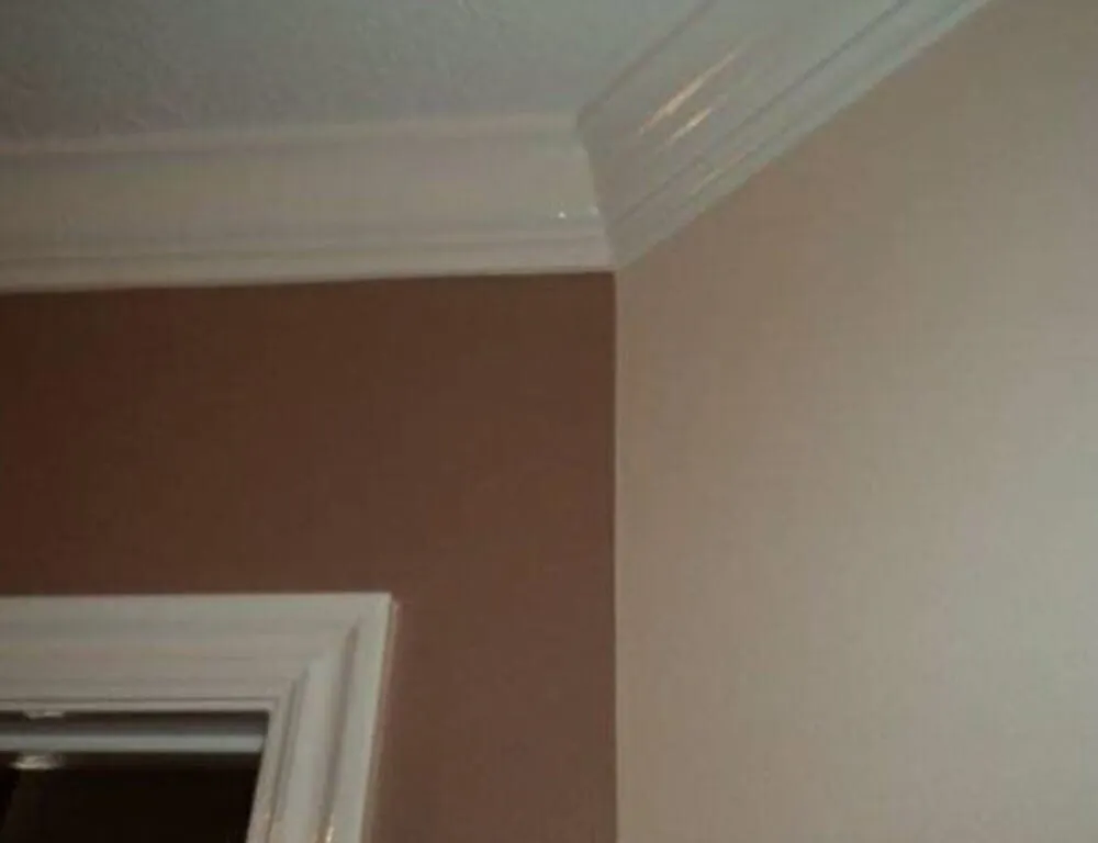 Slide of Daves Painting Interior/Exterior