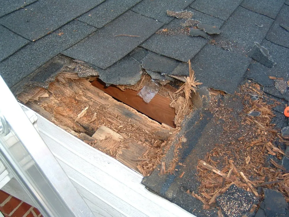 Slide of Dave's Roof Repair