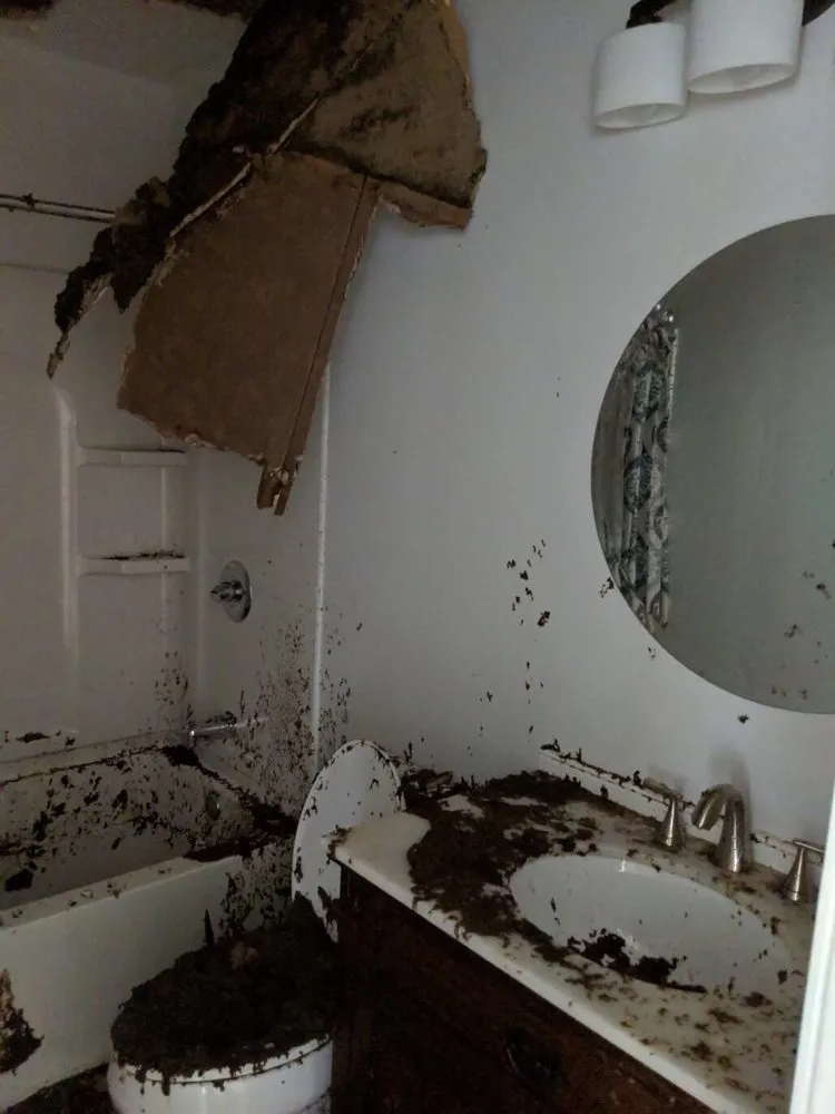 Slide of Dave's Roofing