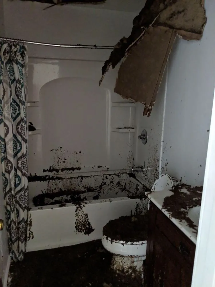 Slide of Dave's Roofing