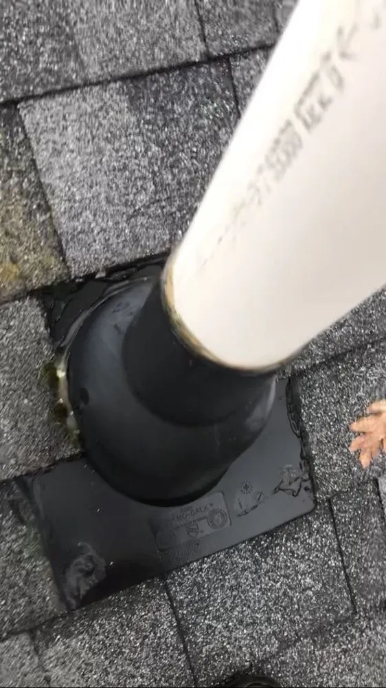 Slide of David Barbale