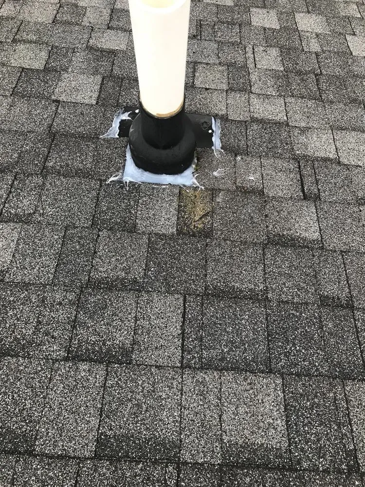 Slide of David Barbale