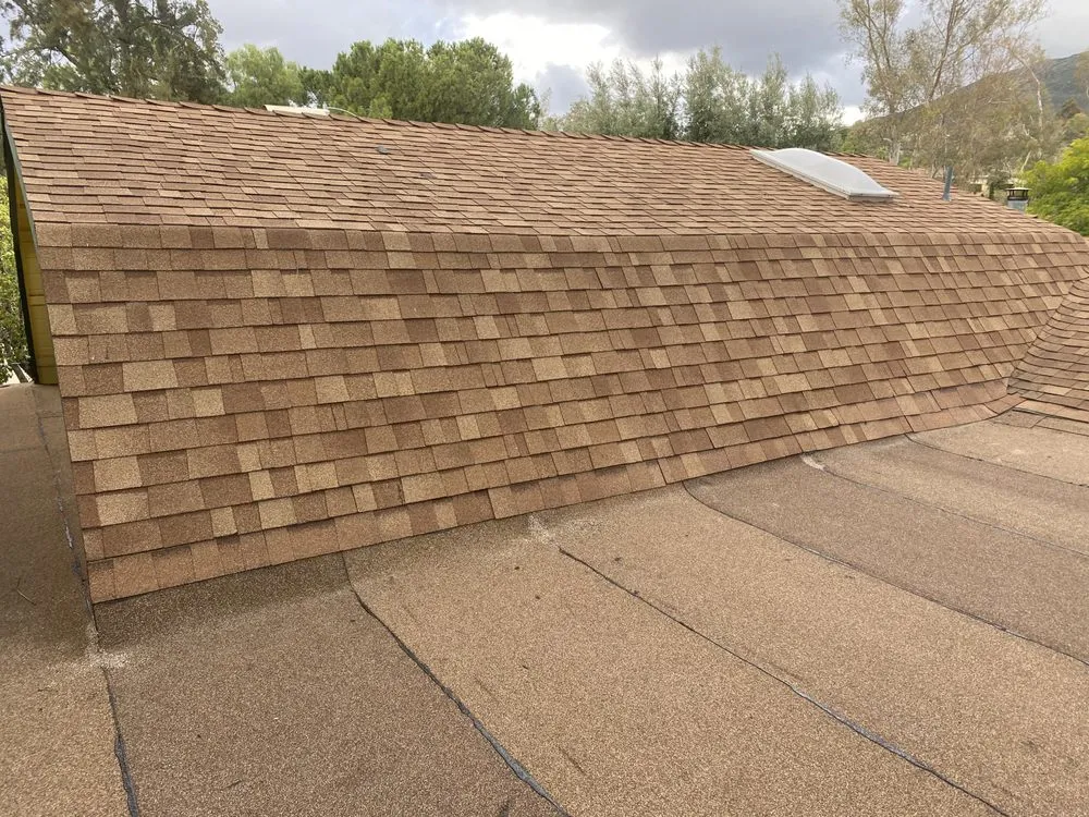 Slide of David Handyman