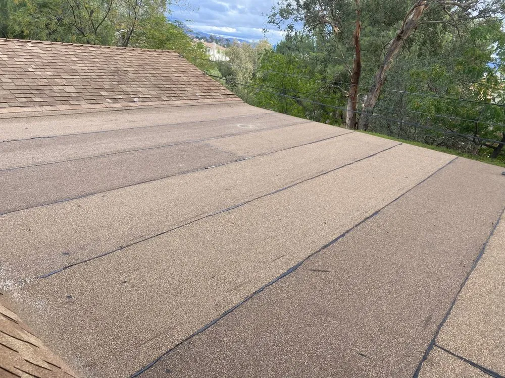 Slide of David Handyman