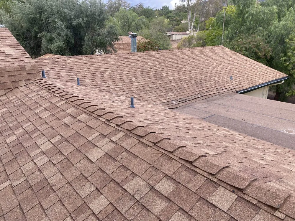 Slide of David Handyman