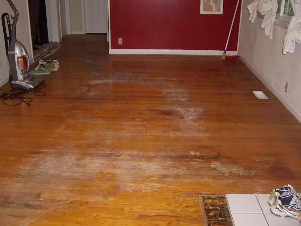 Slide of David Home Solutions