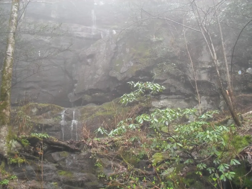 Slide of David Lowe Roofing