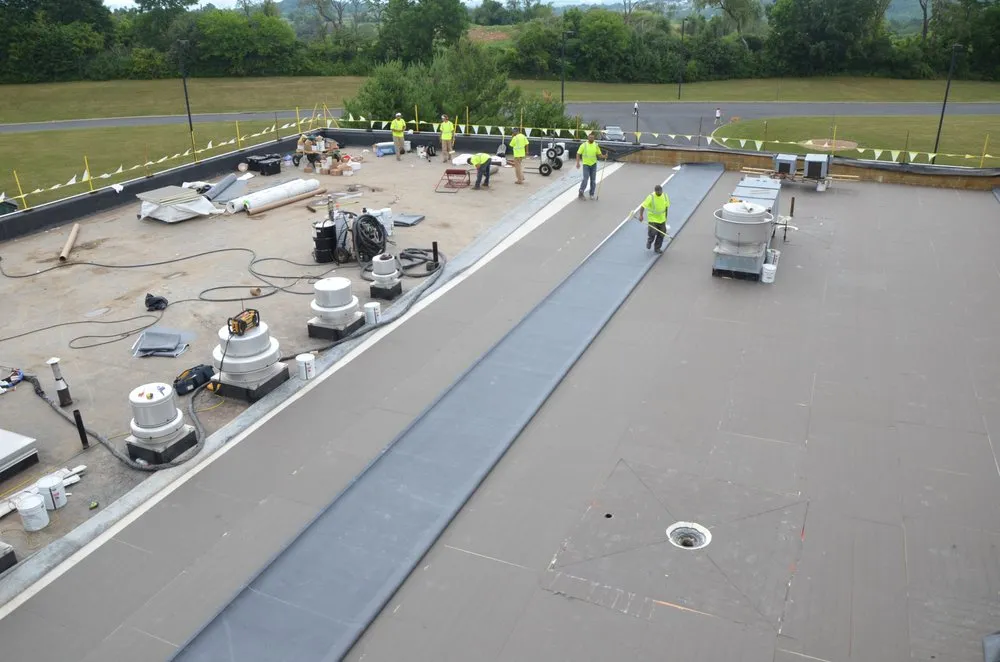 Slide of David M Maines & Associates