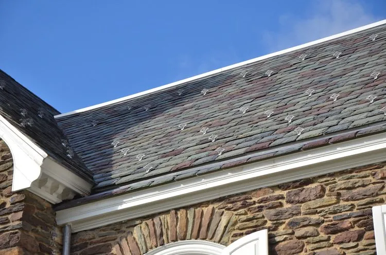 Slide of David M Maines & Associates