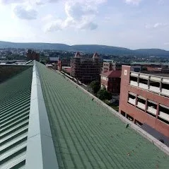 Slide of David M Maines & Associates