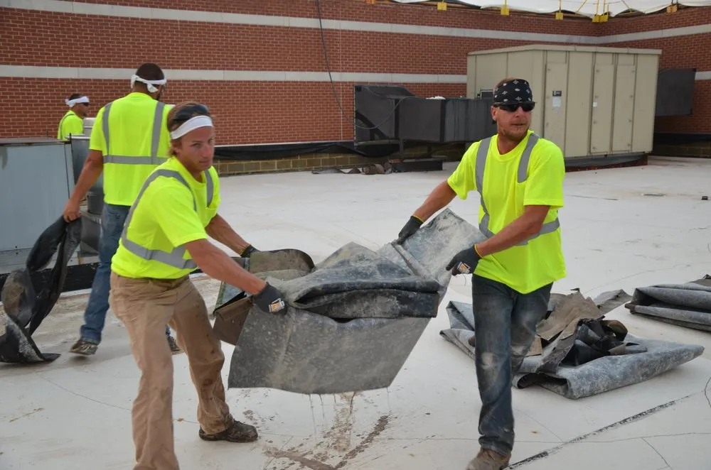 Slide of David M Maines & Associates