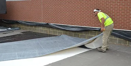 Slide of David M Maines & Associates