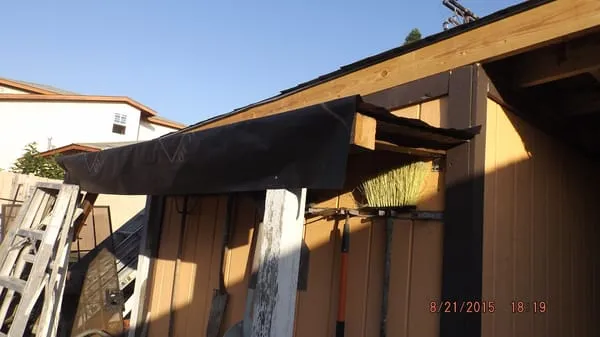 David Pant - All Around Handy-Man