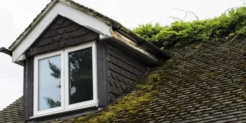 Slide of David Perry Construction