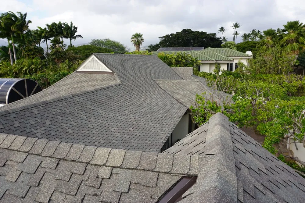 Slide of David's Custom Roofing & Painting