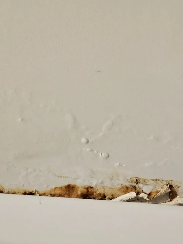 Slide of David's Painting and Remodeling