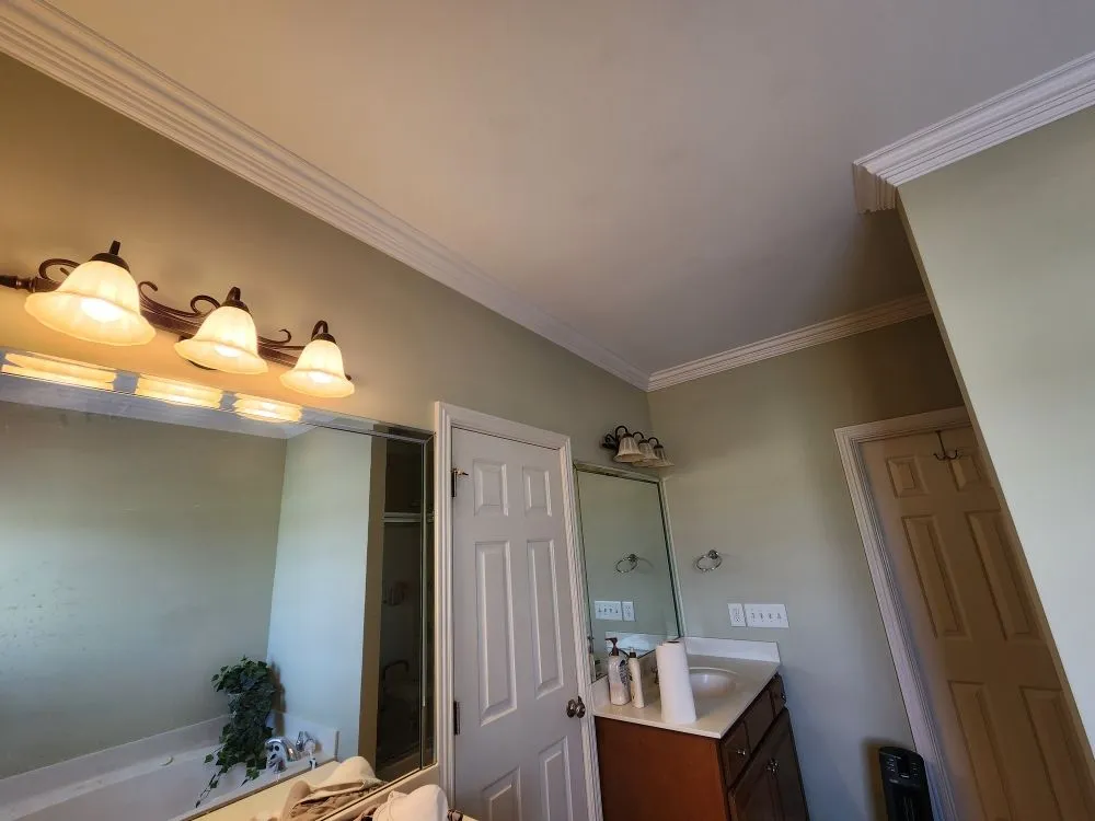 Slide of David's Painting and Remodeling