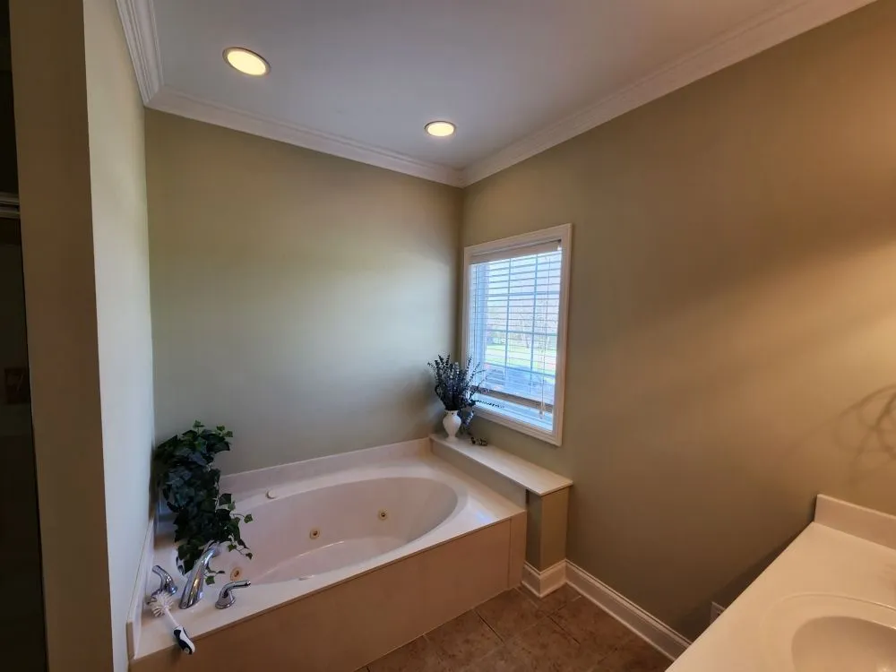 Slide of David's Painting and Remodeling