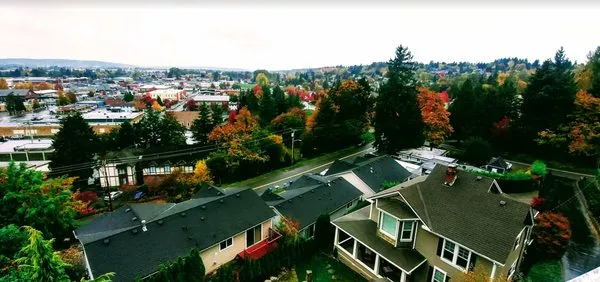 David's Roof Cleaning & Repair Logo