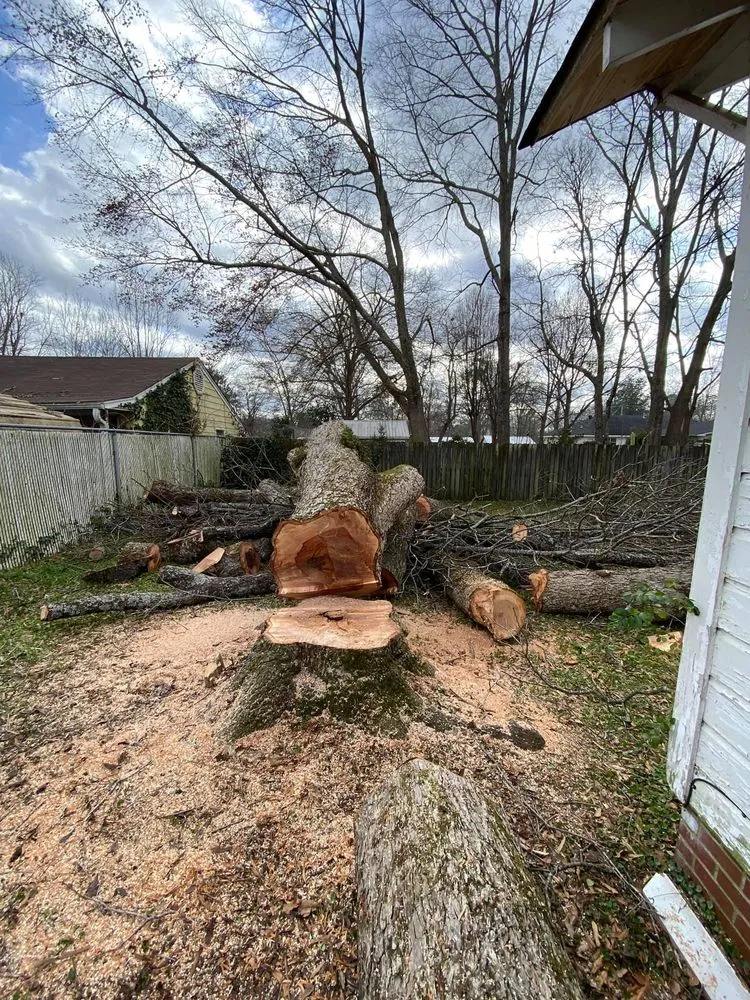 Slide of David's Tree Service  And General Construction