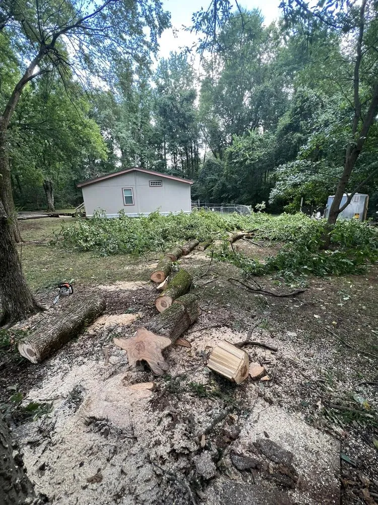 Slide of David's Tree Service  And General Construction