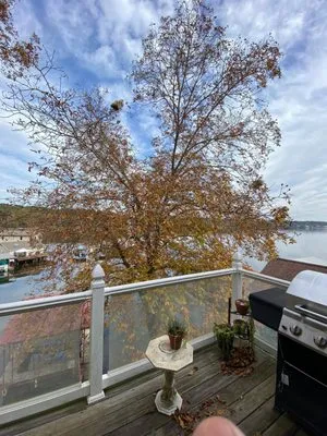 David's Tree Service  And General Construction