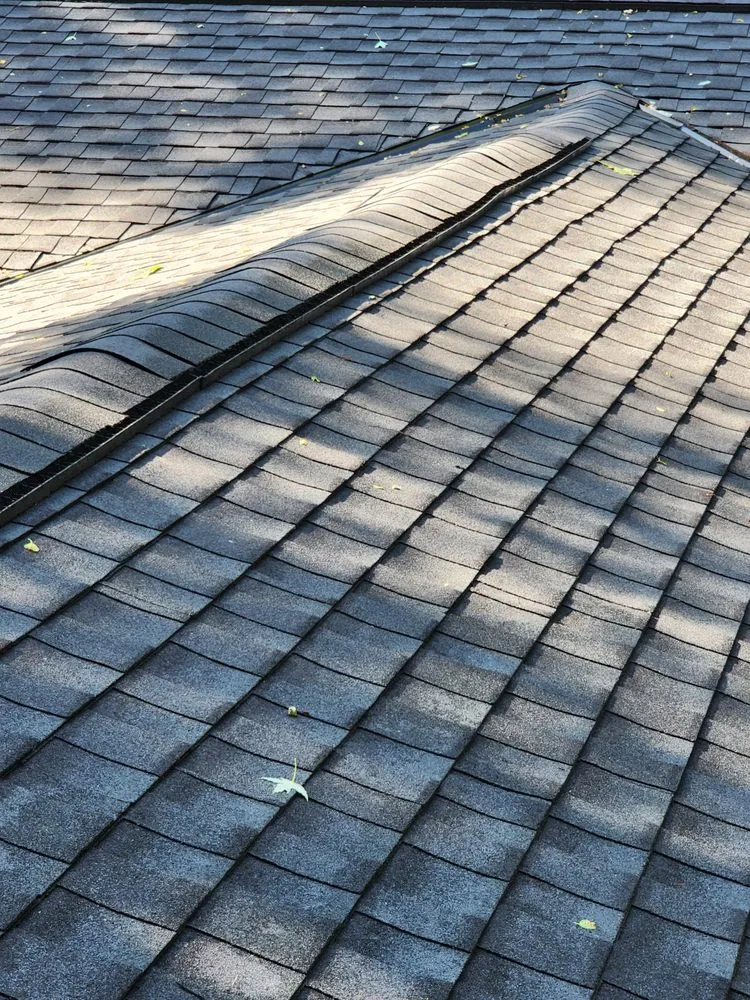 Slide of DaVinci Partners Roofing Systems