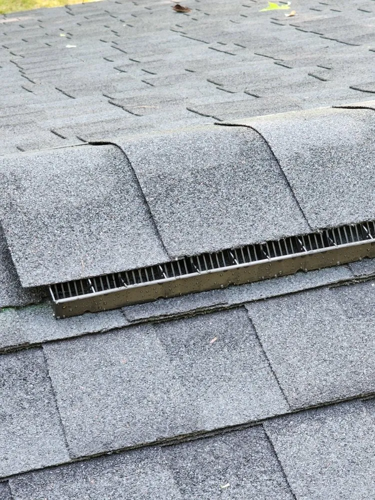 Slide of DaVinci Partners Roofing Systems