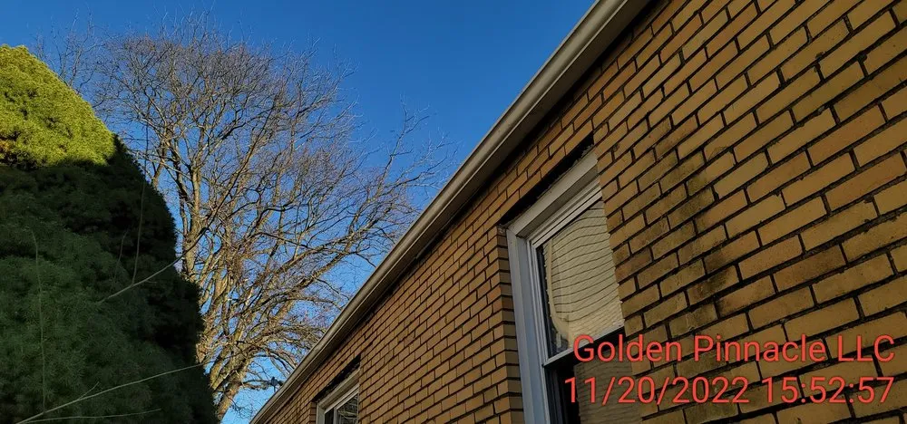 Slide of Davis Repairs & Renovations