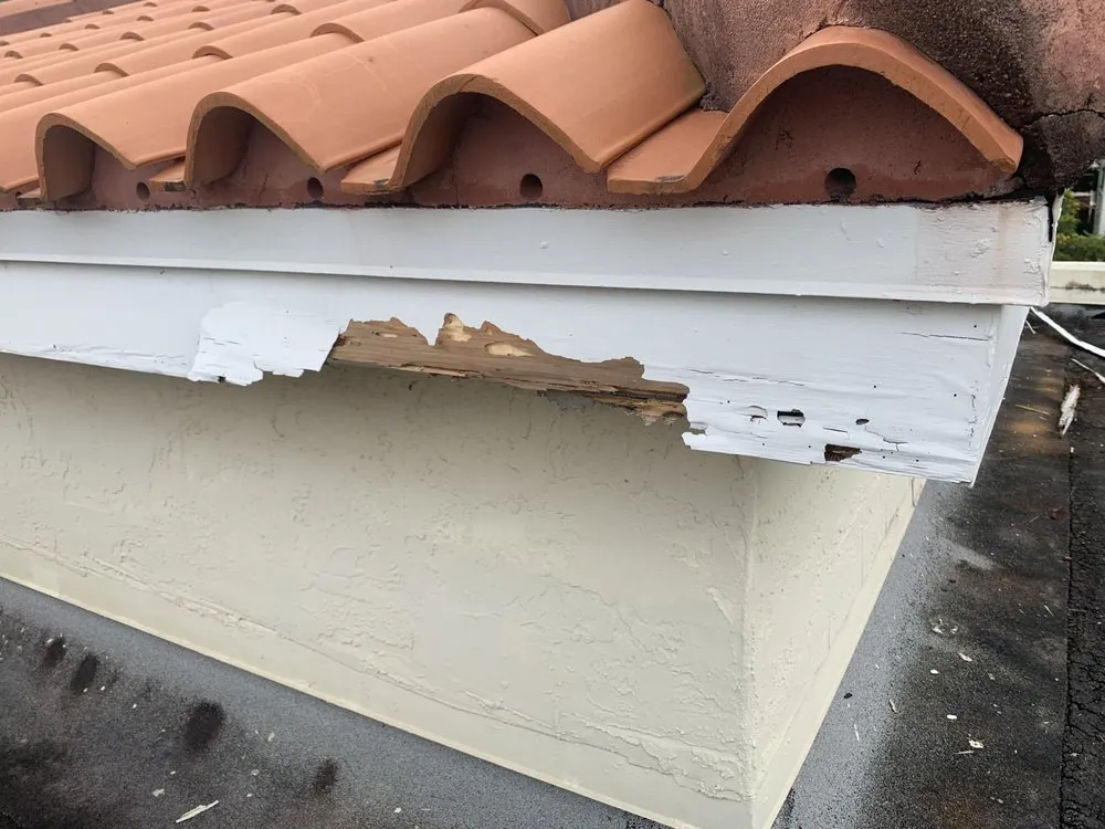 Slide of Day1 Services