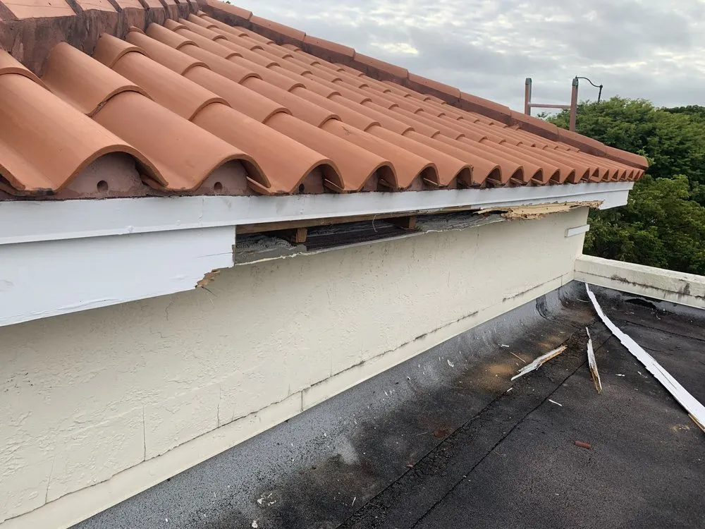 Slide of Day1 Services