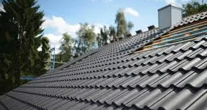 Slide of Díaz roofing