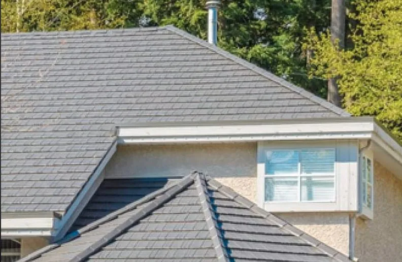 Slide of Díaz roofing