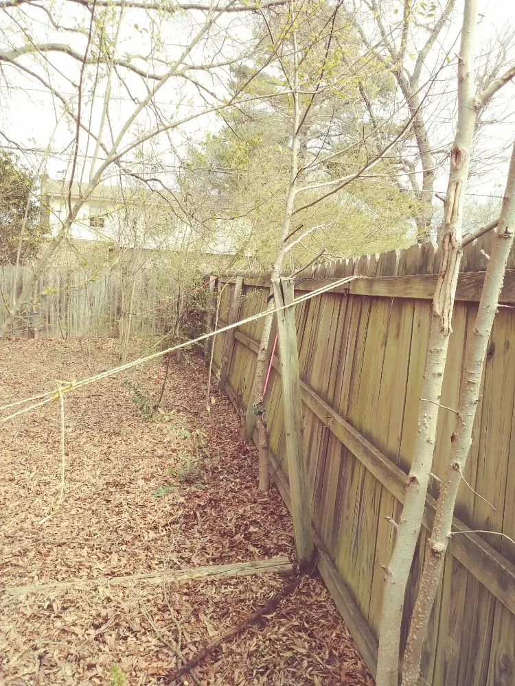 Slide of DB Home Project Repair