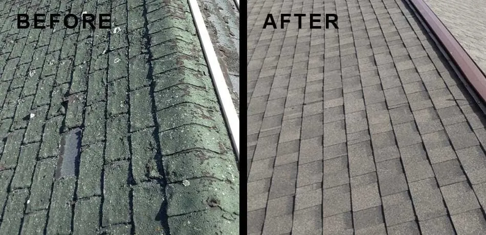 Slide of DB Roof Repairs