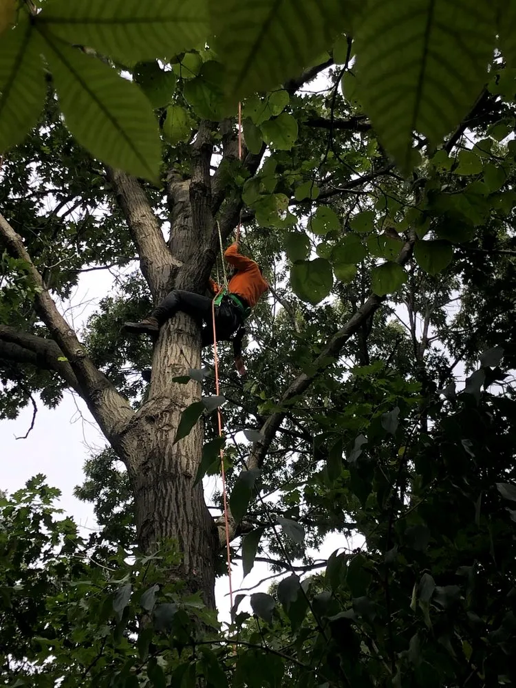 Slide of DC Construction