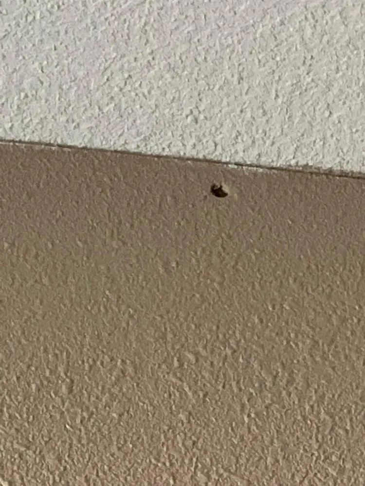 Slide of DC&H Construction