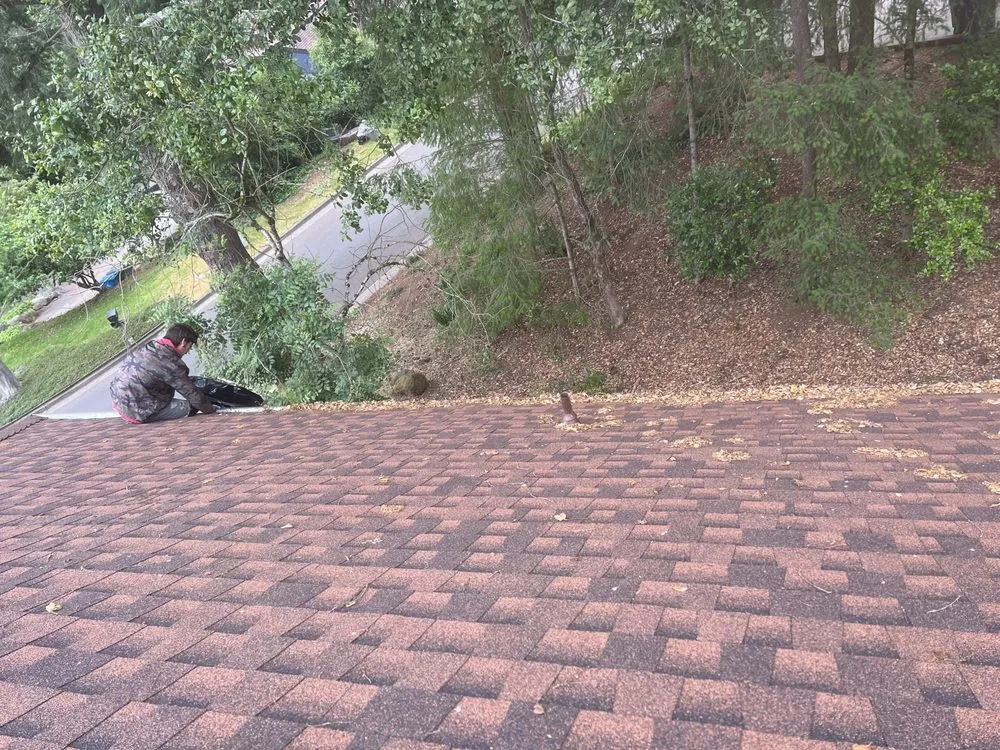 Slide of DConstruction