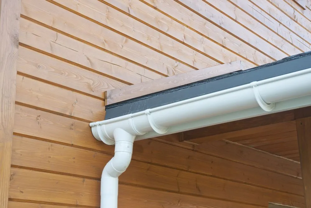 Slide of DDI Services