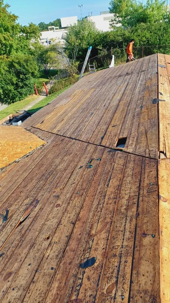 Professional shingle roofing service in Parkdale, OH by DDL Roofing