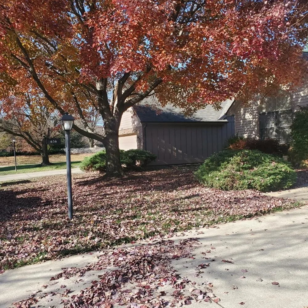 Slide of De Los Santos Roofing and Construction