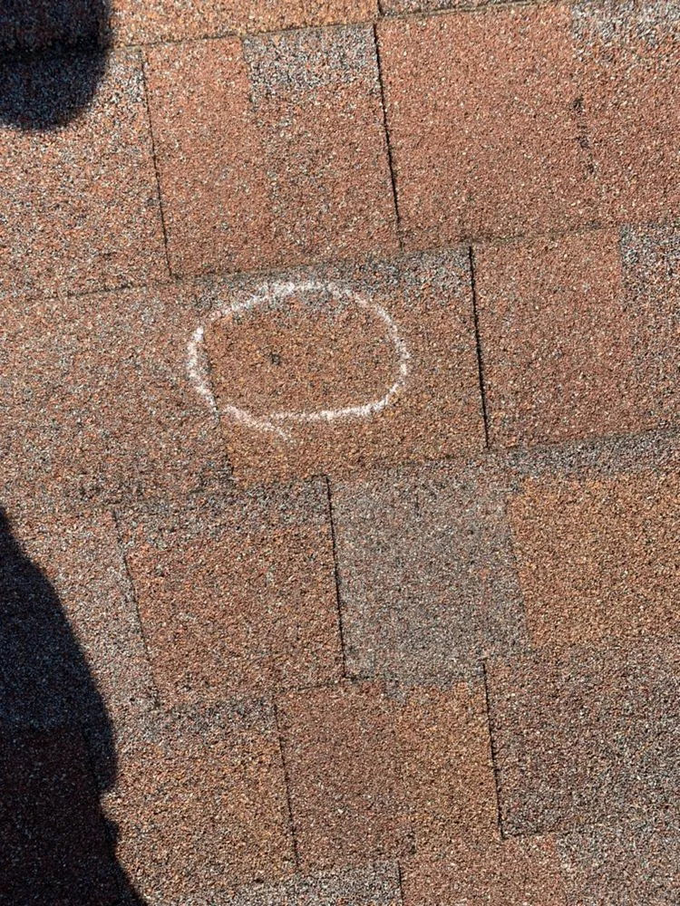 Slide of D.E.C Restorations