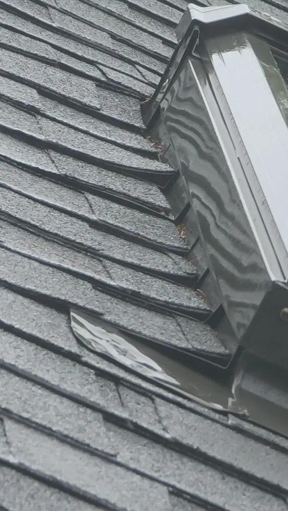 Slide of DeJesus Construction